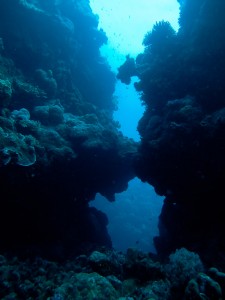 A swim through 10 meters under the sea.