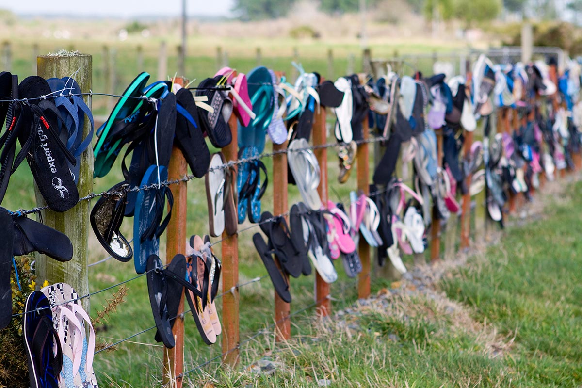Flip Flops in New Zealand